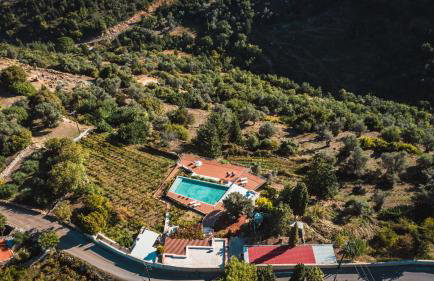 Nassibe Estate - Photo 71