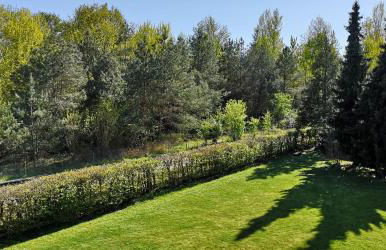 Niederwald - Foto 33