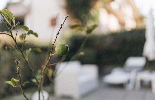 Grey's Apartment - Foto 20