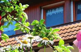 Ferieninsel an der Dreisam - Foto 25