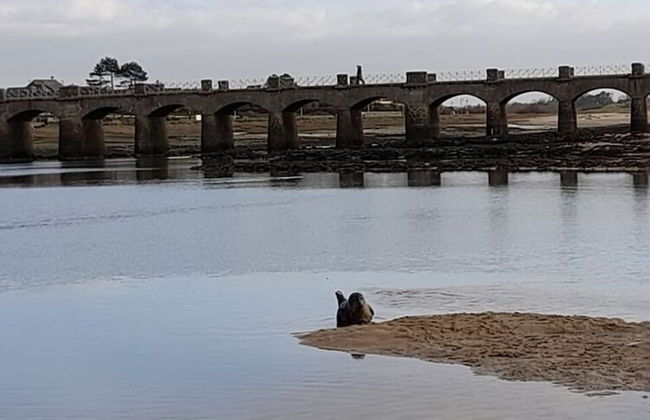 Holiday Home With sea View in Portbail - Photo 27