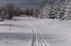Ferienhaus Schulte - Villa Jupp und Apartment Liesl - Foto 35