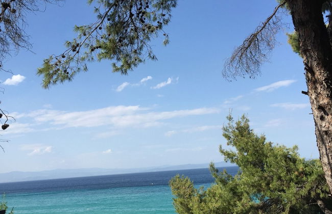 Petra Mare Villas - Photo 30