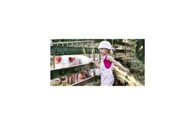 Demeterhof Dünninger - Foto 22