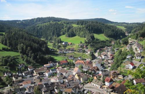 Appartementhaus Schwarzwaldblick - Foto 64