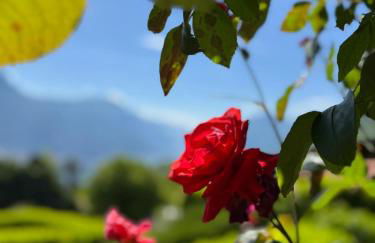 Bellagio, Grigna & Lake Suite - Foto 18