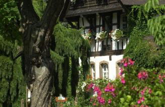 Nancy Ville - Foto 39