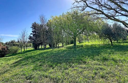 les gites de la Fée - Photo 11