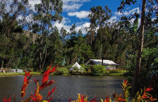 Palumbo Glamping & Villas - Foto 36