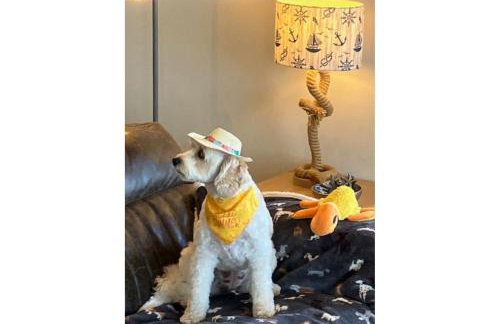 Turnstone Cottage - Foto 24