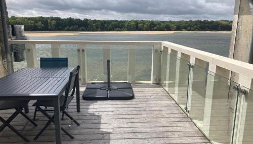 Les sternes de st Mathurin sur Loire , terrasse sur la Loire - Photo 2