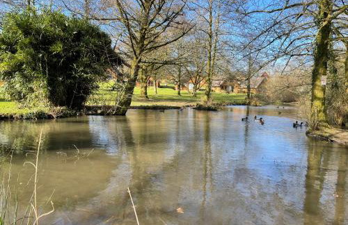 81 Hengar Manor - Foto 16