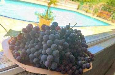 Sítio Bela Vista - Photo 45