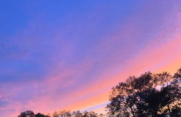 La Suite Unique - Le jardin sur les Pyrénées- vue panoramique montagne -jardin clôturé privé de 100m2-Parking-Linge de lit et serviettes compris- - Foto 20