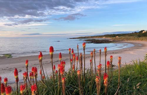 The Corner House - Photo 32