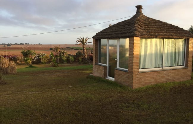 Villa Salma - Photo 13