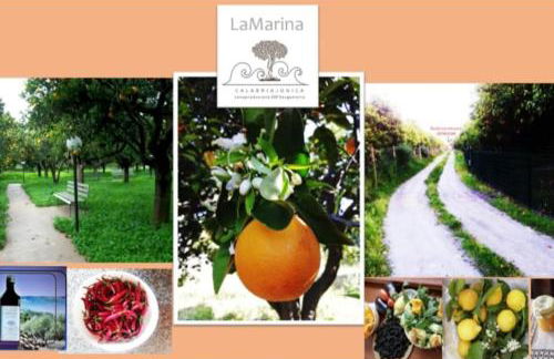 Panoramico, in villa, grande, con ampie terrazze - Foto 36