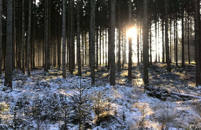 Modern, Wooden Chalet With Wood Burning Stove, in the Forest - Foto 51