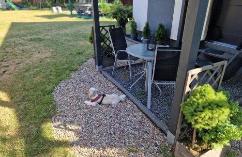 Domek Adam - Jacuzzi dodatkowo płatne - Foto 39