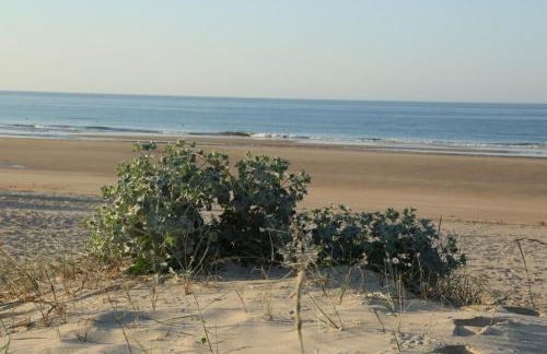 Casa da Retur-Praia do Cabeco-Algarve-Castro Marim - Photo 32