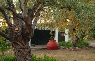 Βίλλα Φανούλα Villa Fanoula - Foto 30