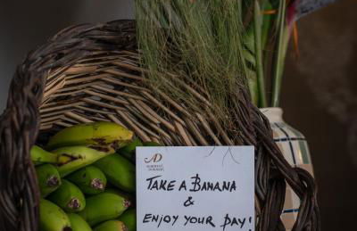 AD Alberto Dorner - Modern - Foto 26