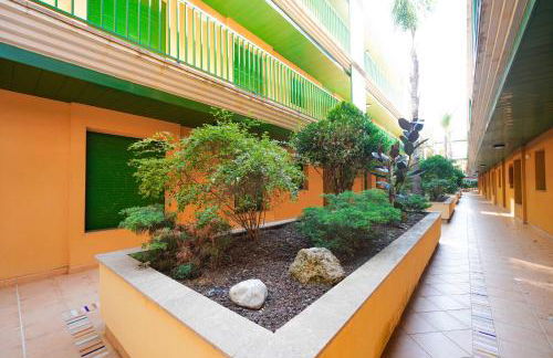 CALITO DEL DELTA - Foto 12