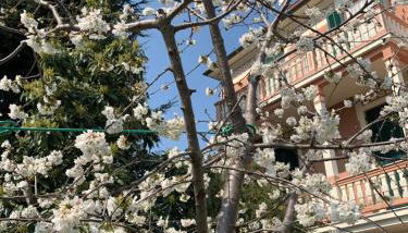 Resort Villa Rosa Maria - Foto 3