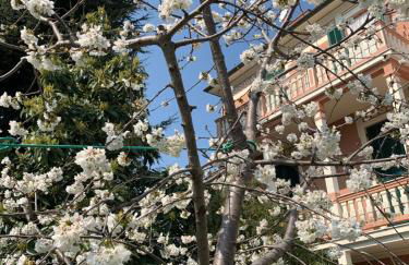 Resort Villa Rosa Maria - Foto 3