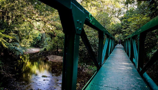 Randonnée dans Bertioga + Balade en bateau - Photo 5, Profitez du paysage