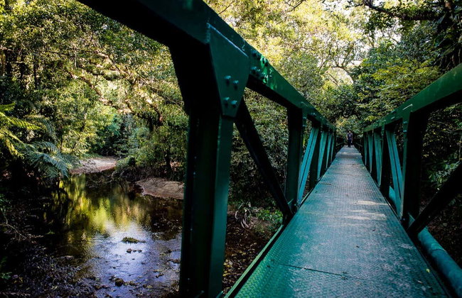 Senderismo por Bertioga + Paseo en barco - Foto 5