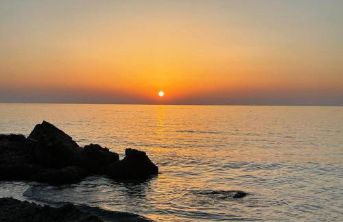 La scelta giusta - Foto 11