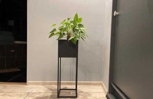 Apartamenty Pod Uwalonym Dębem - Foto 39