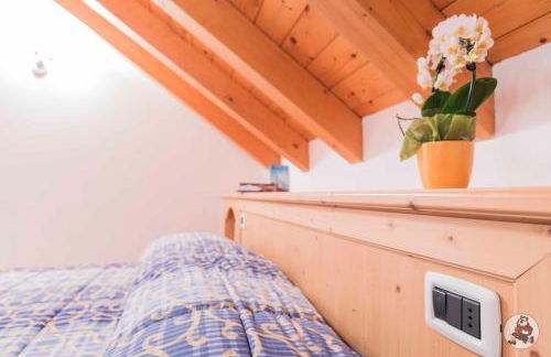 RESIDENCE-HOTEL CIMBRO - Foto 36