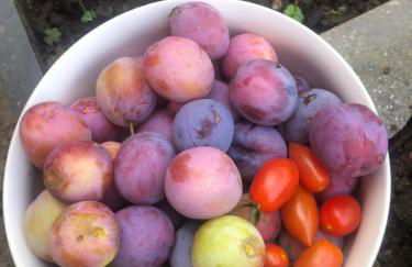 Giuditta FreeCarPark&Garden - Photo 36