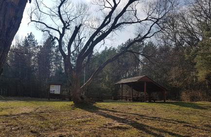 Apartament Świętoszów - Foto 7