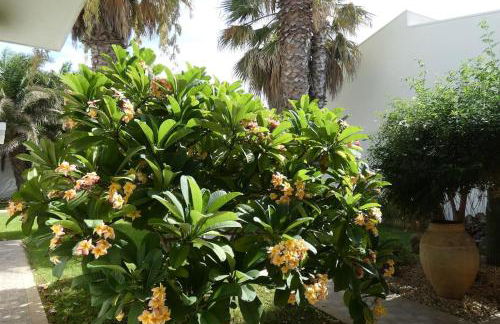 Villa Niní - Foto 28