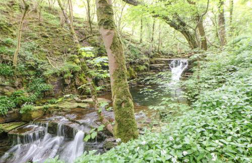 Middlehope Cottage - Foto 34