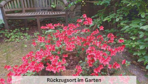 Ivy Haus - Foto 4, Garden, Garden view