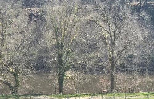 Joli appartemen Avec Vue Sur Vienne - Foto 14