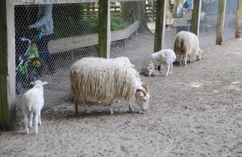 Helle Nichtraucherwohnung 69qm zwischen Köln und Düsseldorf - Photo 66