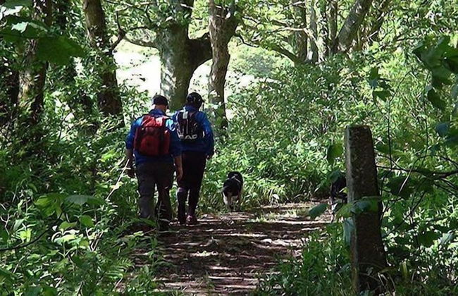 Cutlar's Lodge - Foto 28