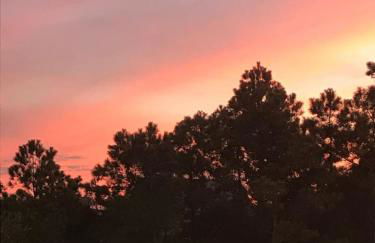 3BR Quiet Cottage Private Dock Fishing - Foto 2