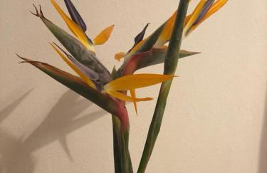 La casa del Podere - Foto 20