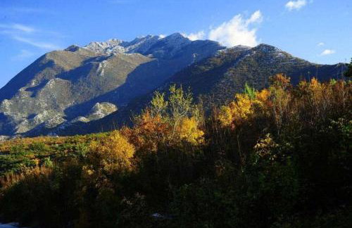 Villa Vinka - Foto 8