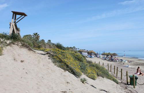 Romana Playa - Photo 39