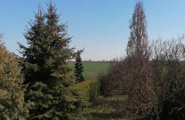 Ferienwohnung IV Sarrebriese - Foto 24