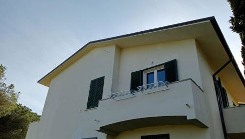 Riccio di Mare - Foto 5