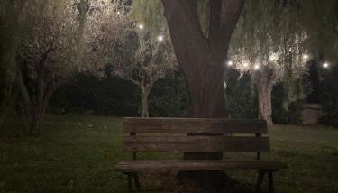 Villa Toti - Photo 4