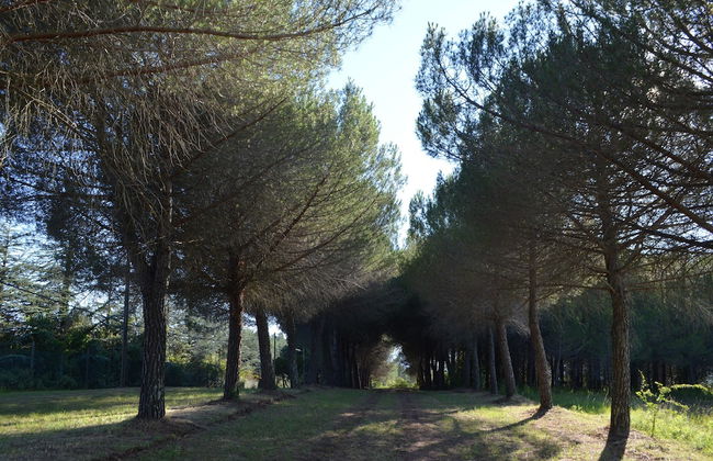 Agriturismo Le Case di San Vivaldo - Foto 62